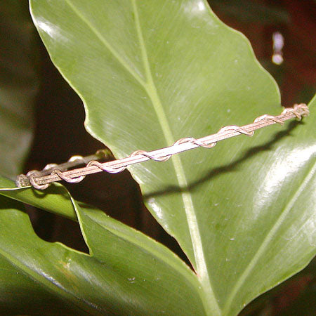 Sterling Silver Thin Wire Wrapped Stackable Bracelet  SSwa